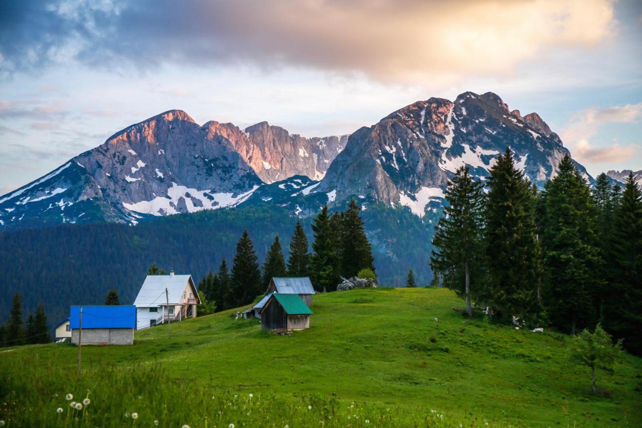 Bungalows Fairy Tale Žabljak エクステリア 写真